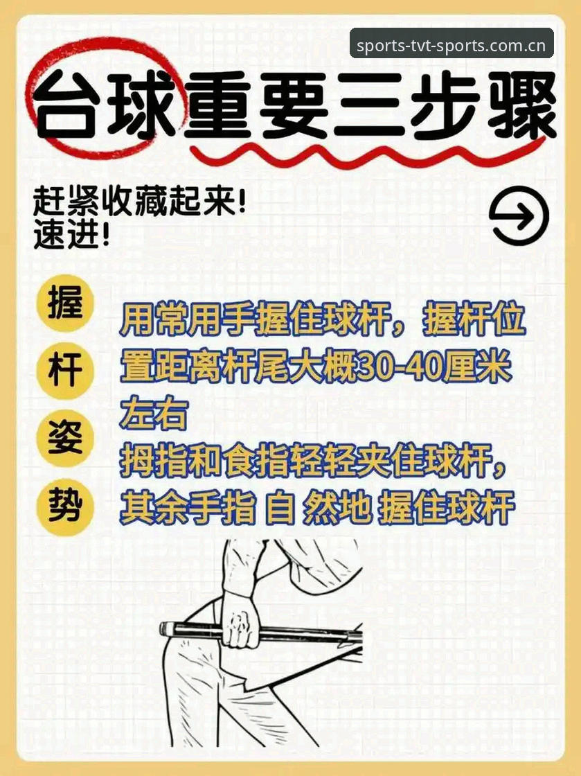 tvt体育平台支持必备的五大实用技巧——从安装到高效使用的完整指南